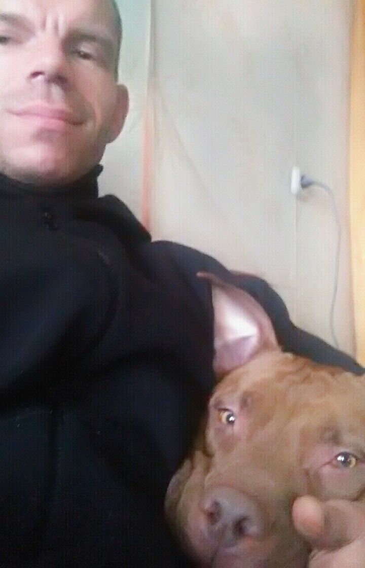 ���������� ���������, ���� ������� �����, 35 ���, ������������ ��� ������, ����� � ���������, c�������� ���������