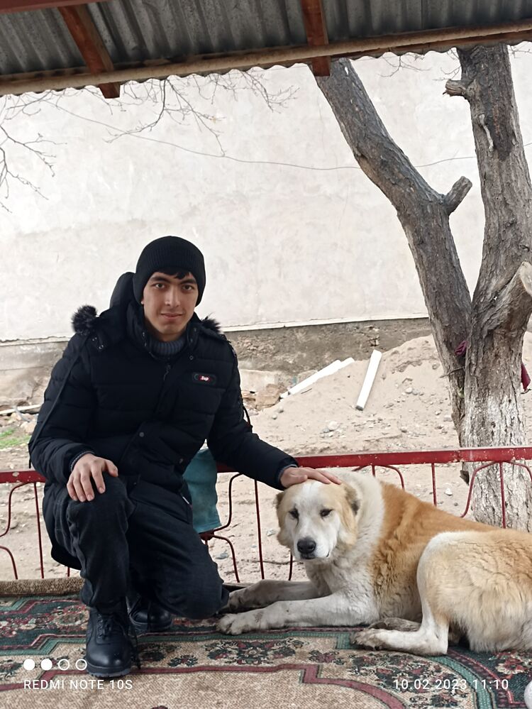 ���������� ������, ���� ����� Shohruz, 23 ����, ������������ ��� ������, ����� � ���������