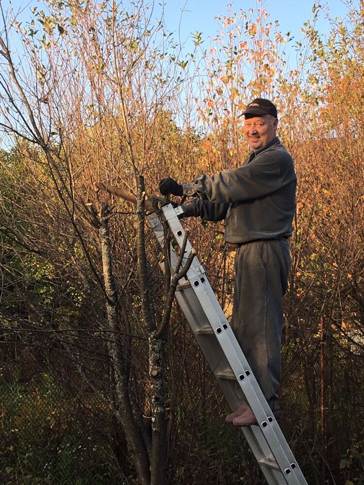  31220642  , 59 ,    