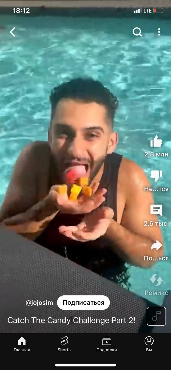 ���� 41064142 ������� Moisei, 26 ���, ���� ���������� � �����������