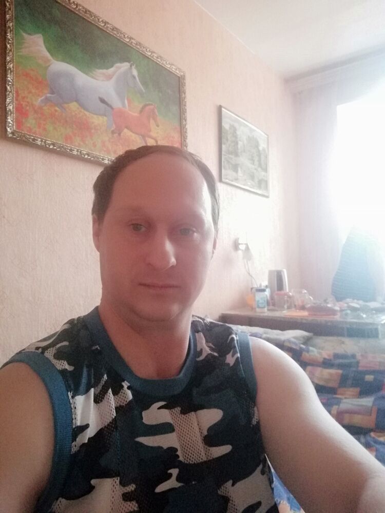  24410202  , 41 ,     