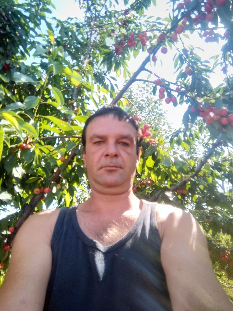 ���� 27136512 ������� ��������, 44 ����, ���� ���������� � ����������