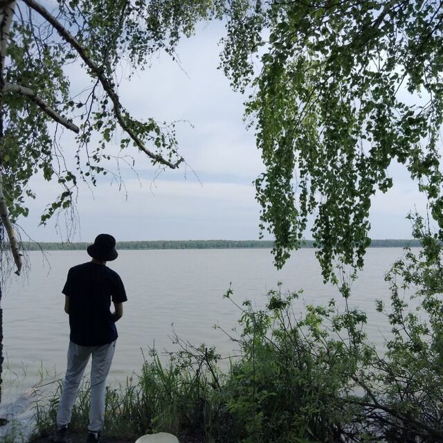 ���� 44386342 ������� ������, 29 ���, ���� ���������� � ������