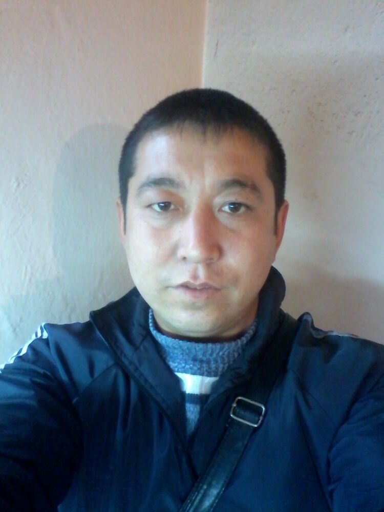  5096092  , 41 ,    