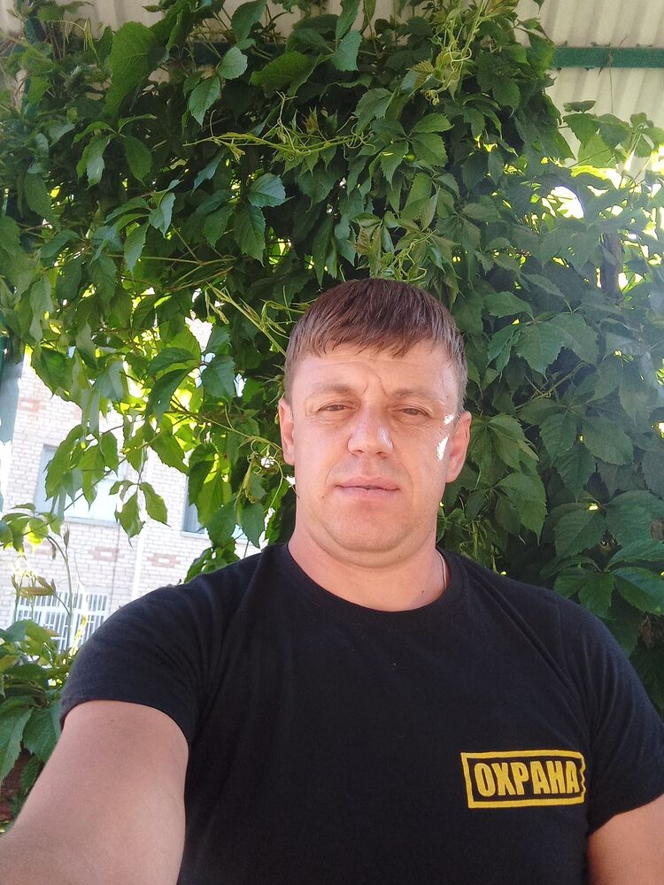  37873612  , 39 ,    