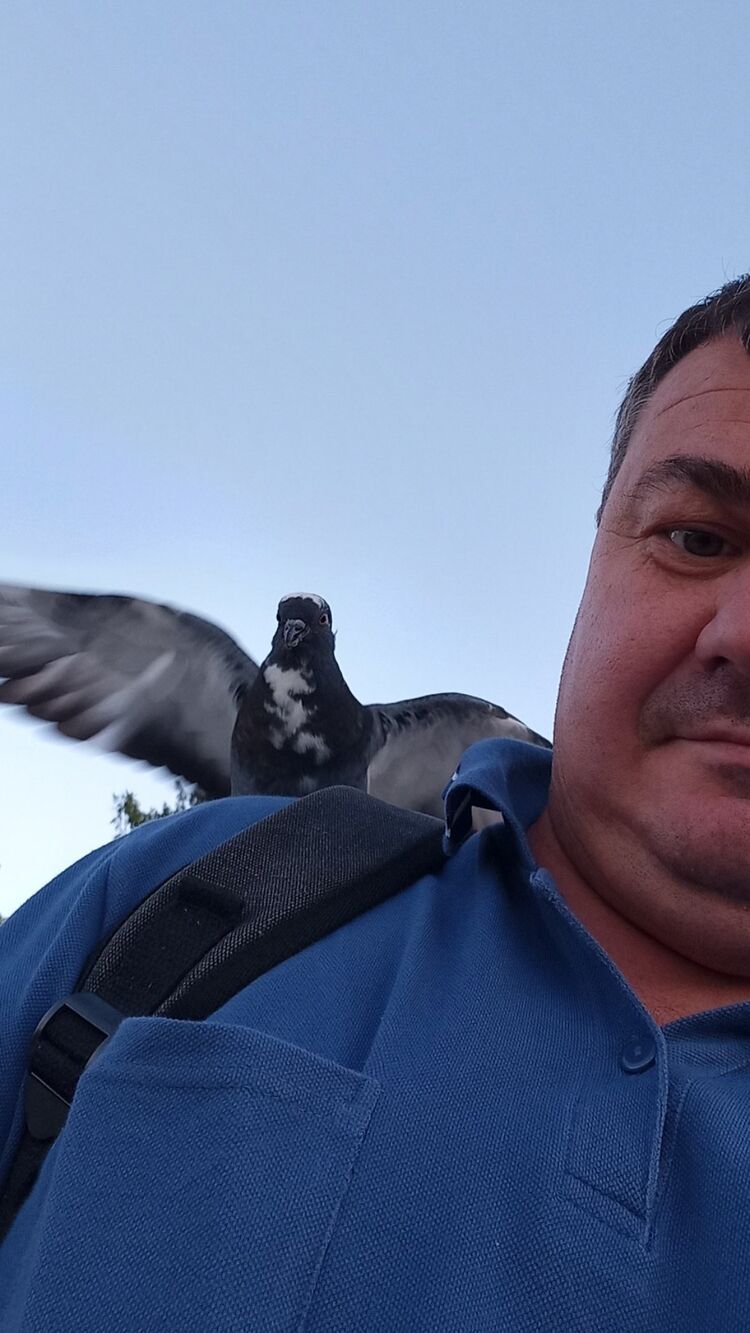 ���������� ������ ��������, ���� ������� �����, 45 ���, ������������ ��� ������, ����� � ���������, c�������� ���������