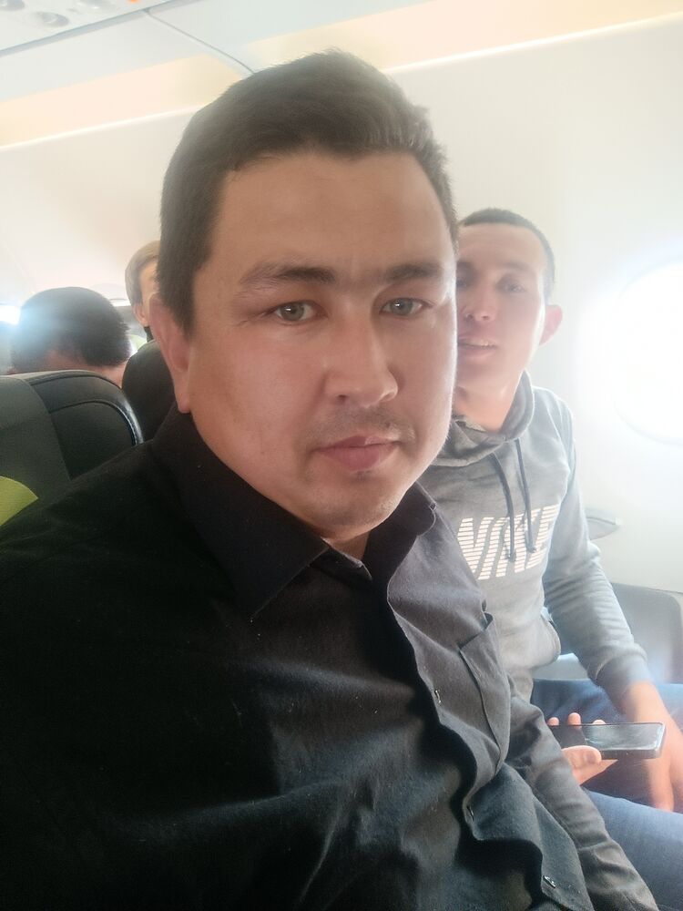 ���� 31385192 ������� ����, 38 ���, ���� ���������� � ������