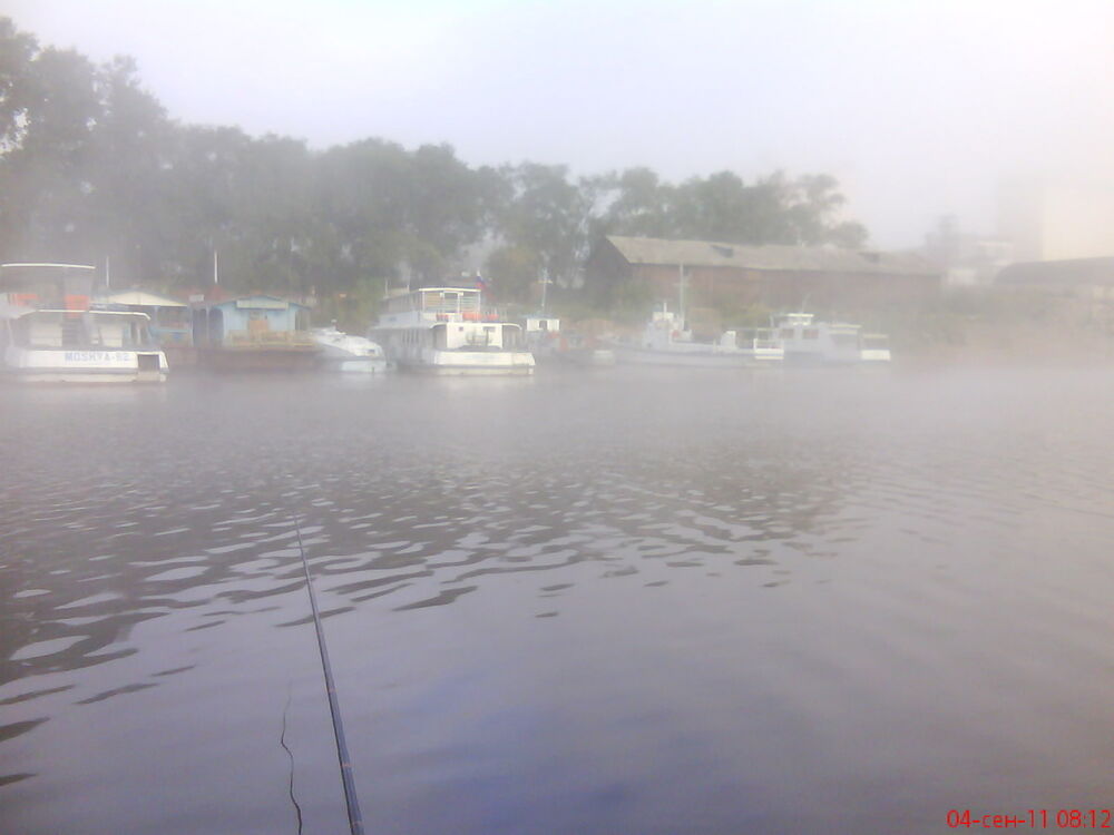 ���� 6782142 ������� ������, 44 ����, ���� ���������� � �������������