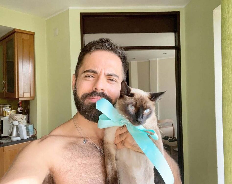  49344582  , 36 ,    --