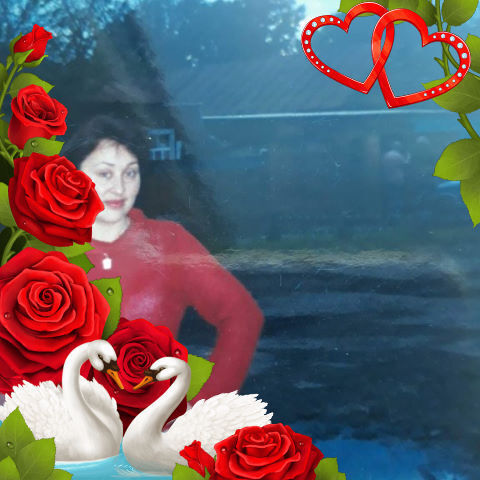  ,   , 53 ,   ,   