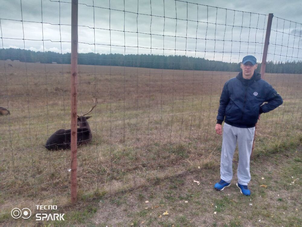 ���������� �����, ���� ������� ������, 41 ���, ������������ ��� ������, ����� � ���������