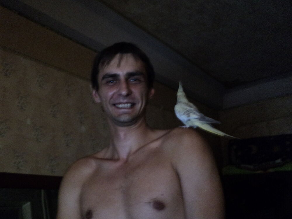  ,   , 41 ,   