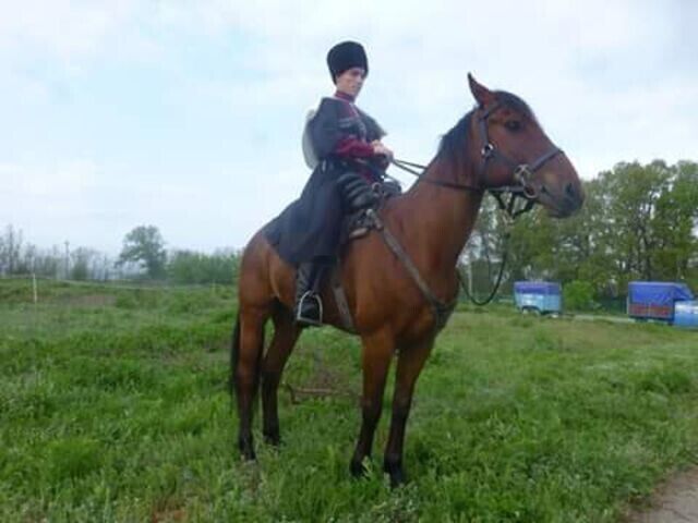  ,   Islam, 33 ,   ,   