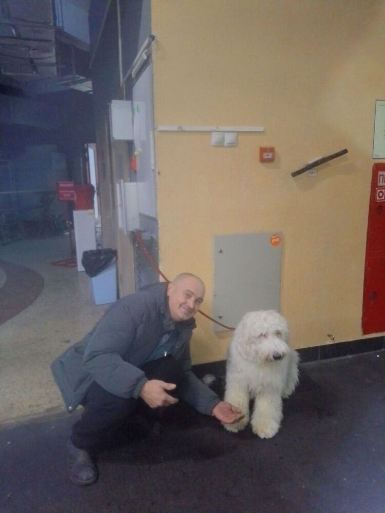  ,   , 41 ,   ,   