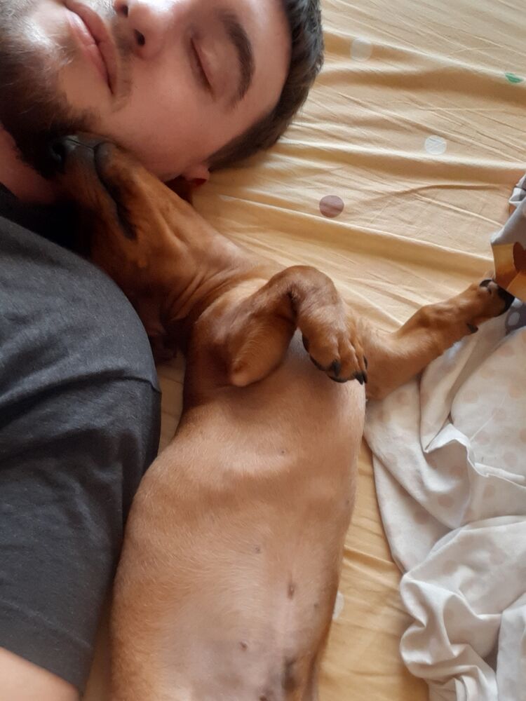 ���������� ��������, ���� ������� ����, 30 ���, ������������ ��� ������, ����� � ���������