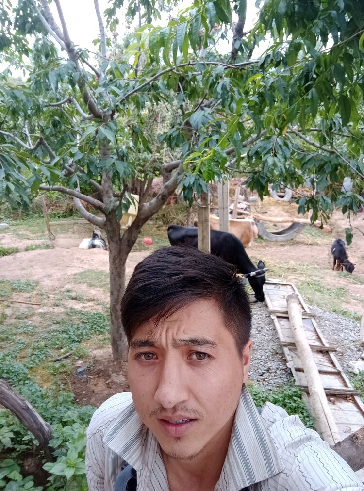 -,   , 26 ,   ,   