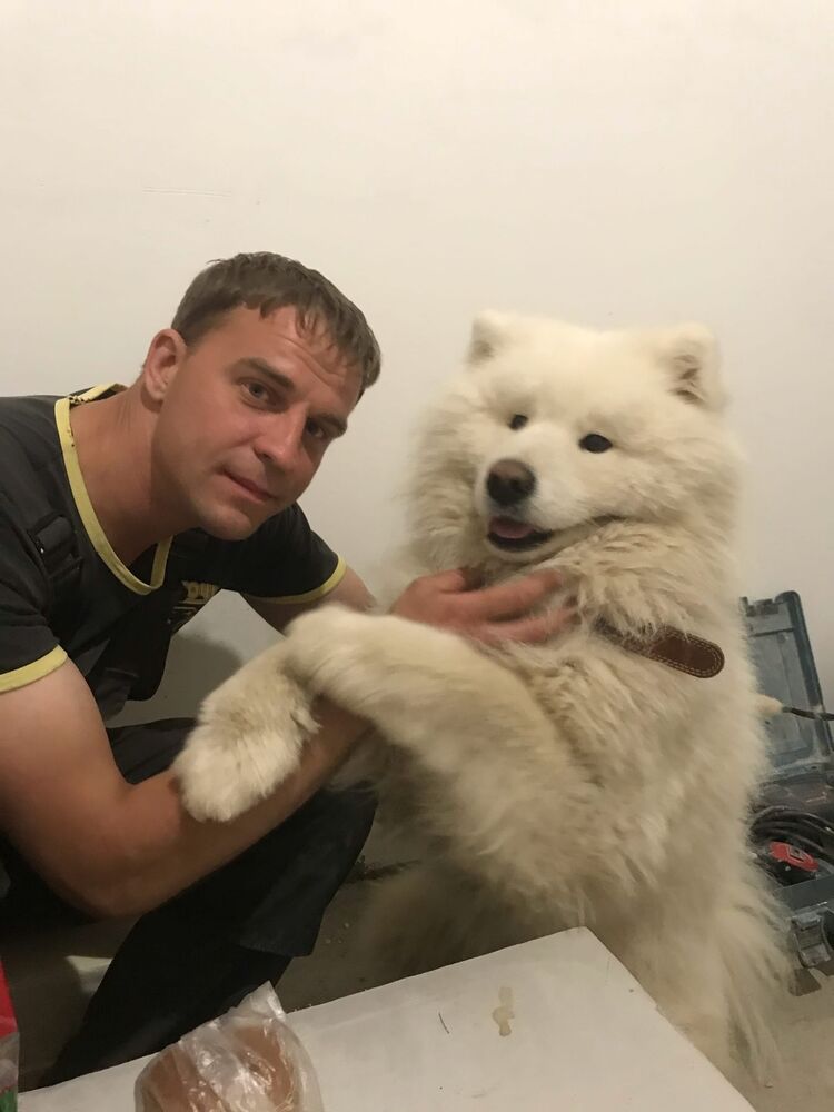 ���������� ���������, ���� ������� ����, 40 ���, ������������ ��� ������, ����� � ���������