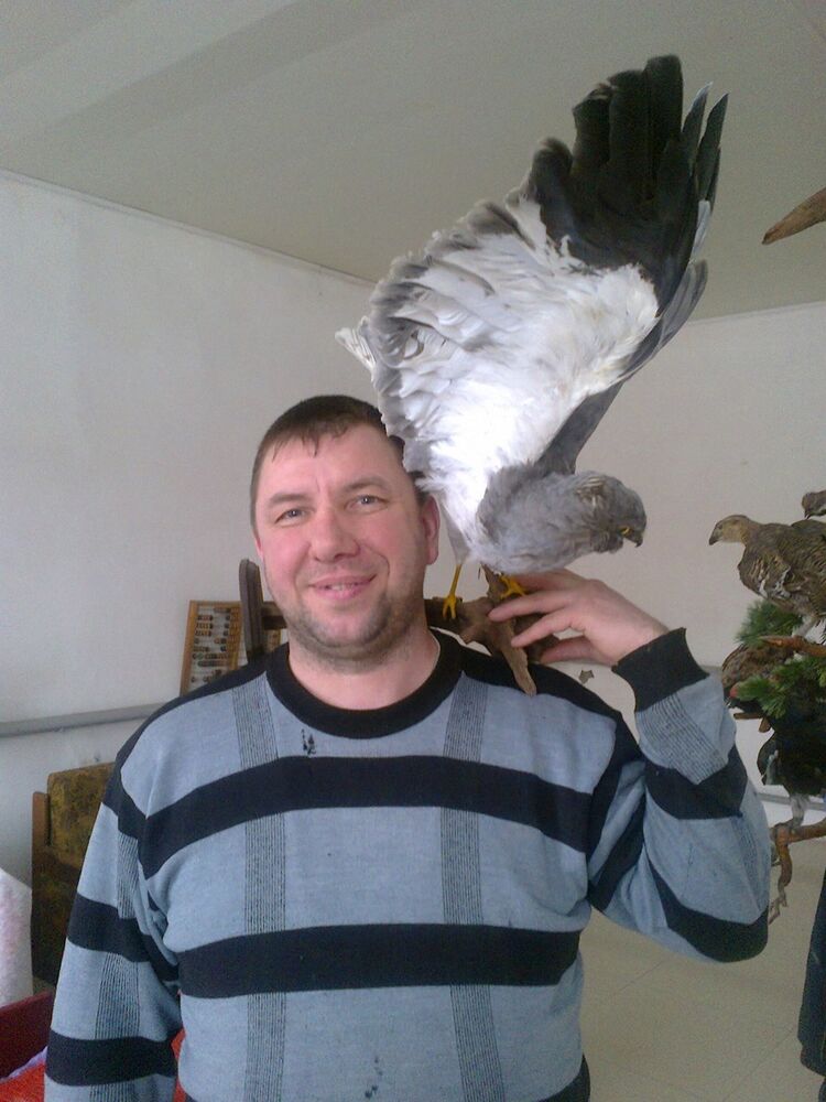 ���� 9687072 ������� �������, 49 ���, ���� ���������� � ���������