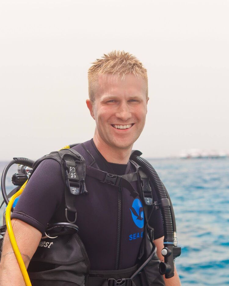 ���� 44505472 ������� �������, 30 ���, ���� ���������� � ������