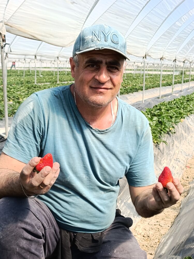 ���������� �����������, ���� ������� �����, 47 ���, ������������ ��� ������, ����� � ���������, c�������� ���������