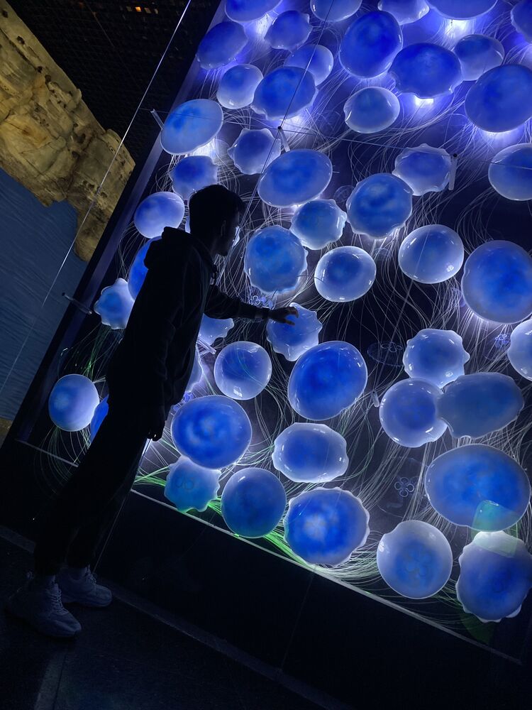 ���� 49038522 ����� �����, 23 ����, ���� ���������� � ������������