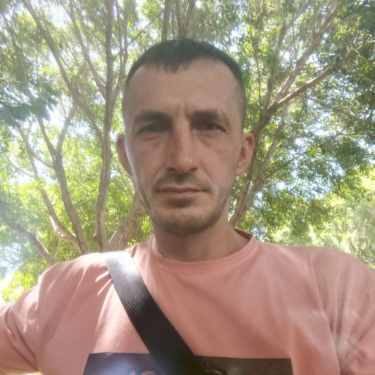  46699142  , 38 ,    