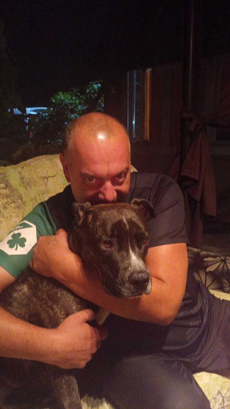 ���������� �����������, ���� ������� ����, 44 ����, ������������ ��� ������, ����� � ���������