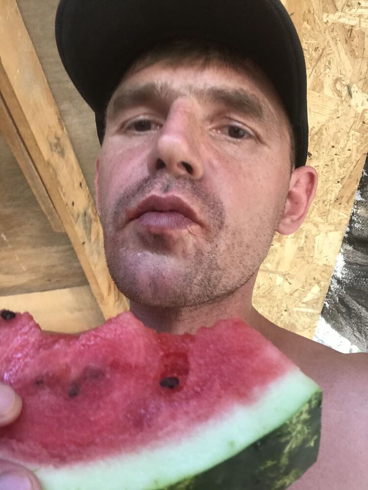  38308262  , 39 ,    