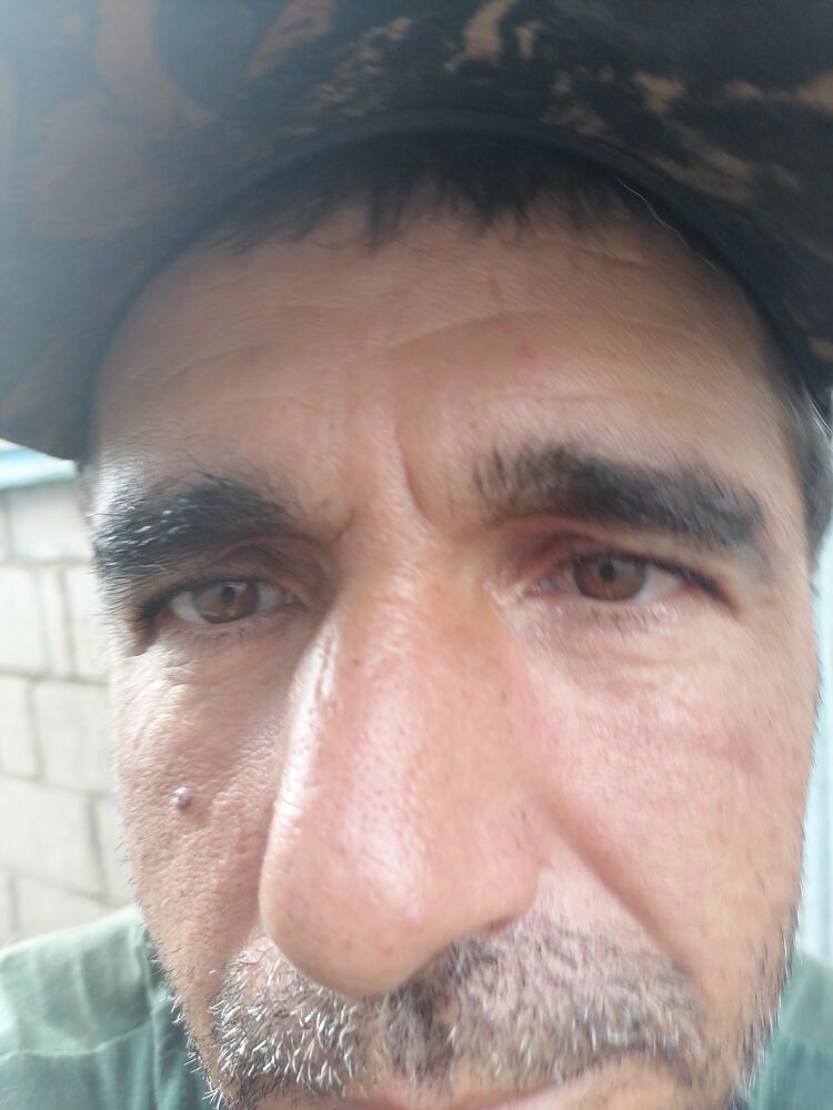  23599002  , 48 ,    