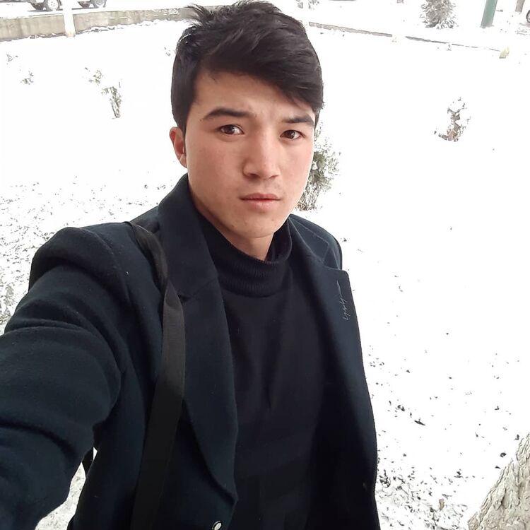 ���� 50047432 ����� ������, 24 ����, ���� ���������� � ������