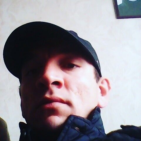  ,   , 41 ,   