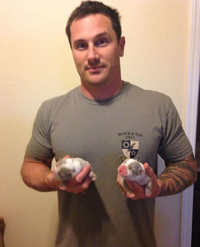 ���� 17422782 ������� Marsh, 53 ����, ���� ���������� � ������