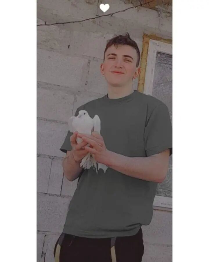 ���� 42695852 ������� ��, 36 ���, ���� ���������� � ������