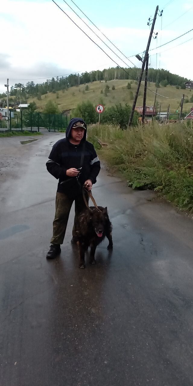 ���� 55120472 ������� �����, 47 ���, ���� ���������� � ������