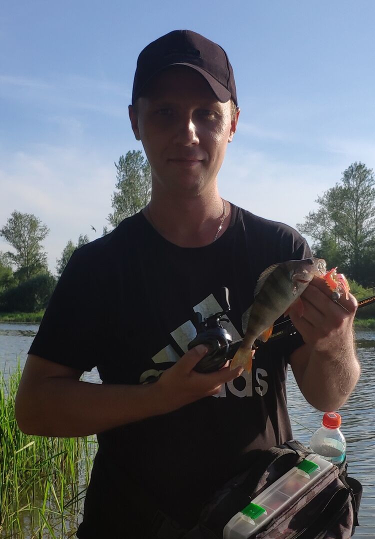 ���� 55921262 ������� ������, 32 ����, ���� ���������� � ���������