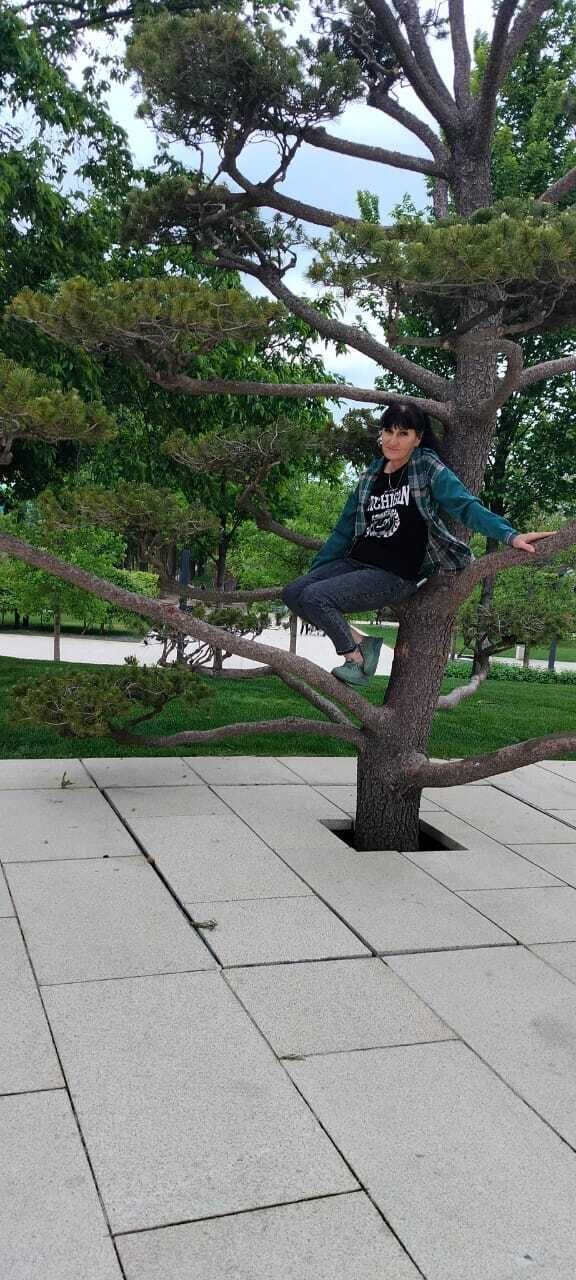 ���������� ������, ���� ������� �����, 84 ����, ������������ ��� ������, ����� � ���������