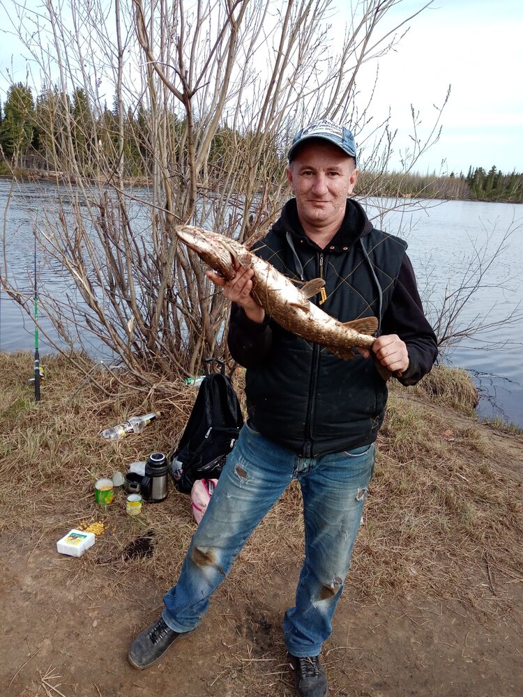 ���������� ����������, ���� ������� ��������, 47 ���, ������������ ��� ������, ����� � ���������