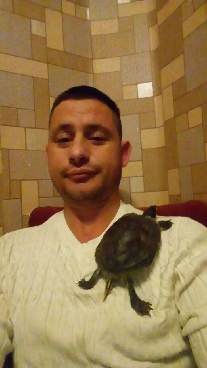 ���� 34869922 ������� ����, 31 ���, ���� ���������� � �����