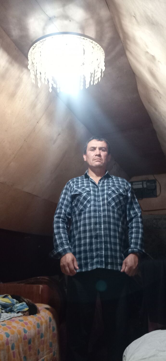 ���� 38233002 ������� �����, 50 ���, ���� ���������� � ������