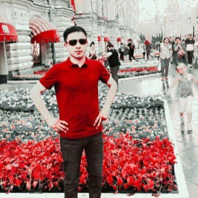 ���� 31195662 ������� ����, 33 ����, ���� ���������� � ������ ���������