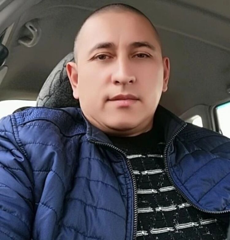  29634022  , 43 ,    