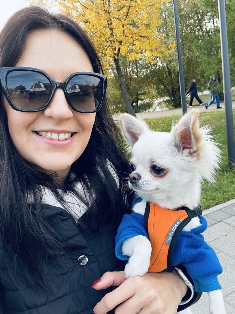 ���������� ������, ���� ������� ������, 36 ���, ������������ ��� ����� � ���������, c�������� ���������