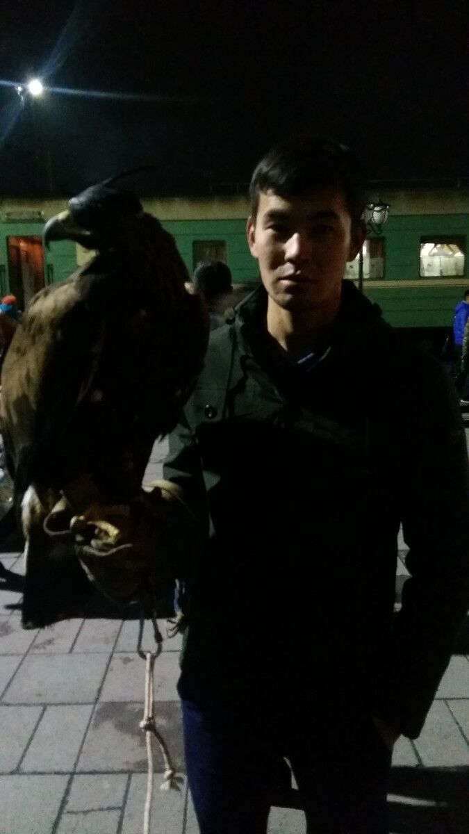 ���������� �������, ���� ������� �������, 31 ���, ������������ ��� ������, ����� � ���������, c�������� ���������