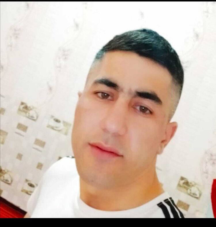  31254472  , 35 ,    -