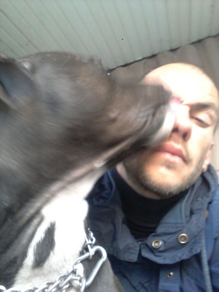  20513202  Artur, 41 ,    