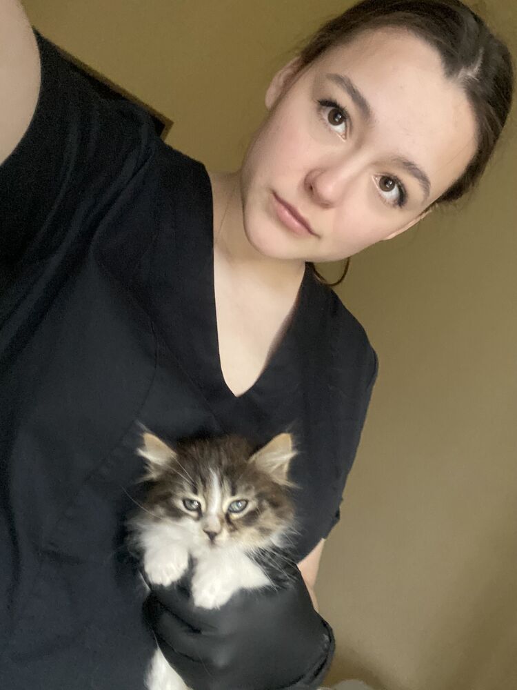 ���������� �������, ���� ������� ������, 23 ����, ������������ ��� ������, ����� � ���������