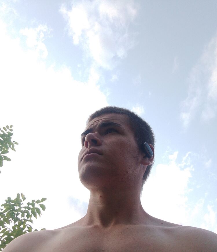 ���� 55608962 ����� ������, 19 ���, ���� ���������� � ���������