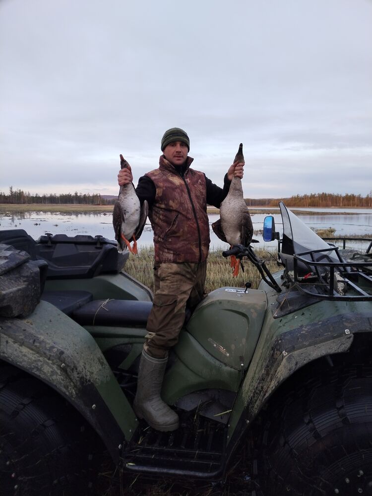 ���� 54972602 ������� �������, 35 ���, ���� ���������� � �������������