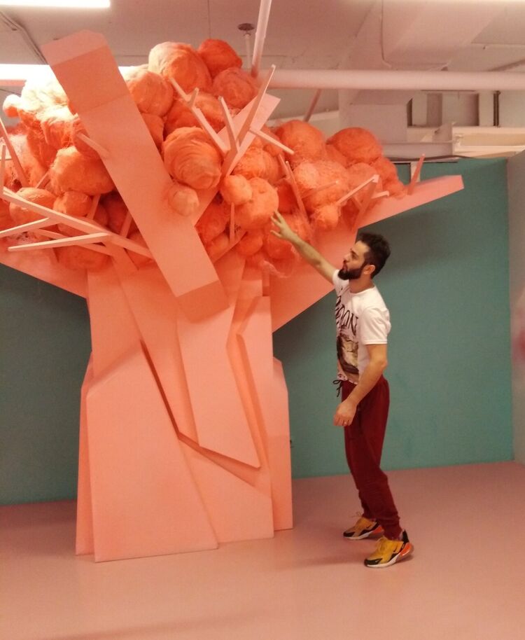 ���� 13861312 ������� �����, 34 ����, ���� ���������� � �����-����������