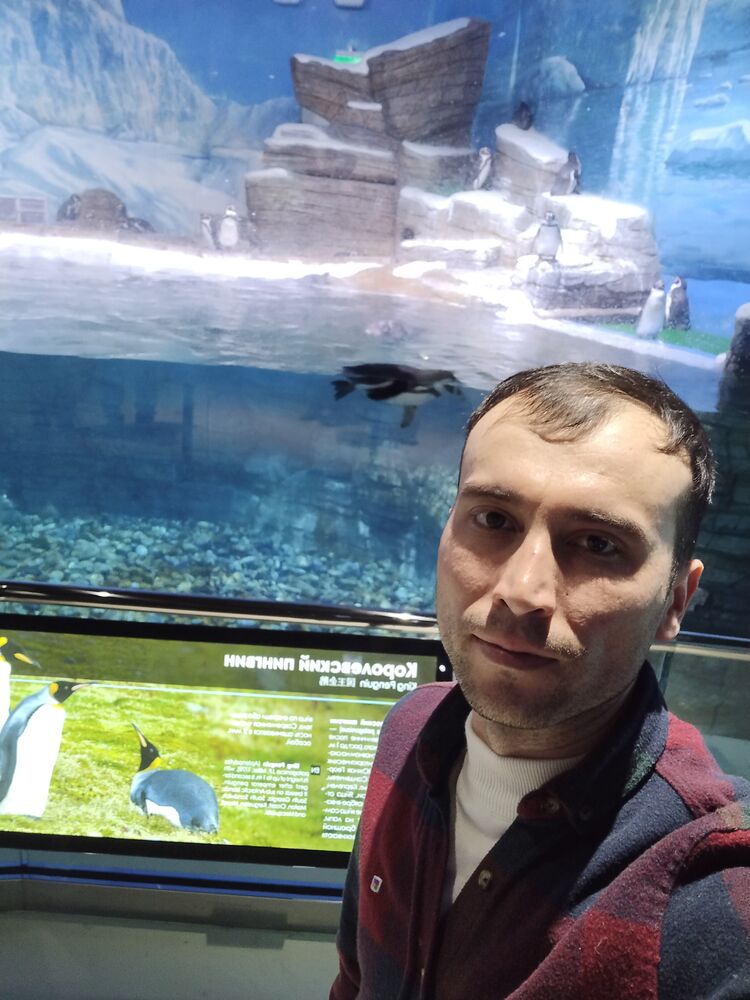 ���� 50914622 ������� Giyos, 31 ���, ���� ���������� � ������� ������